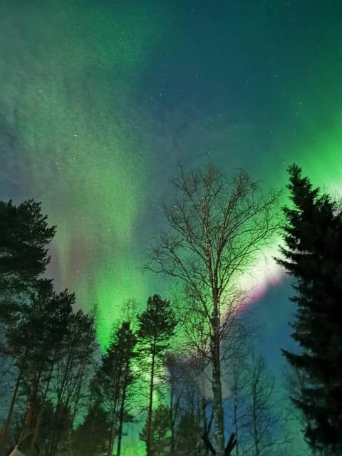 Hunting Aurora With BBQ in Small Group - Group Size and Dynamics