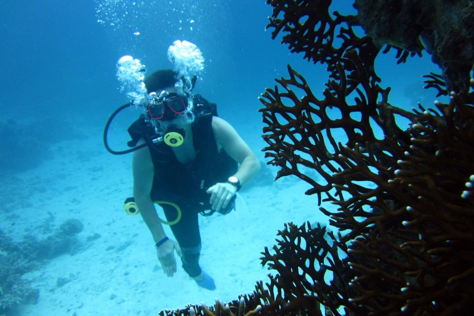 Hurghada: Diving & Snorkeling Cruise Tour W Lunch & Drinks - Customer Reviews