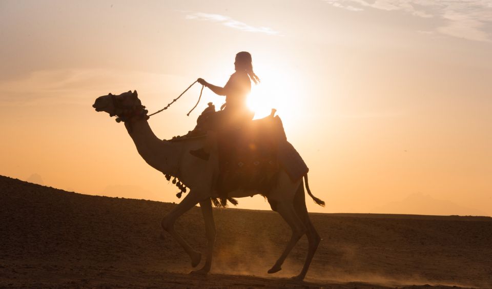 Hurghada: Quad Bike Safari, Camel Horse Ride, Dinner & Shows - Activity Requirements