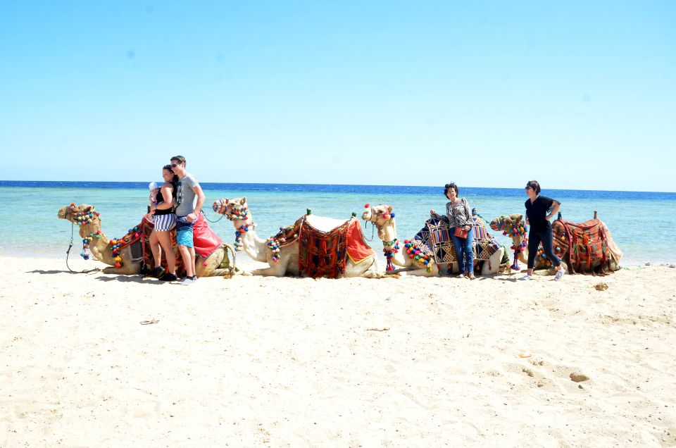 Hurghada: Sea & Desert Camel Ride W/Dinner, Show, Stargazing - Inclusions and Extras