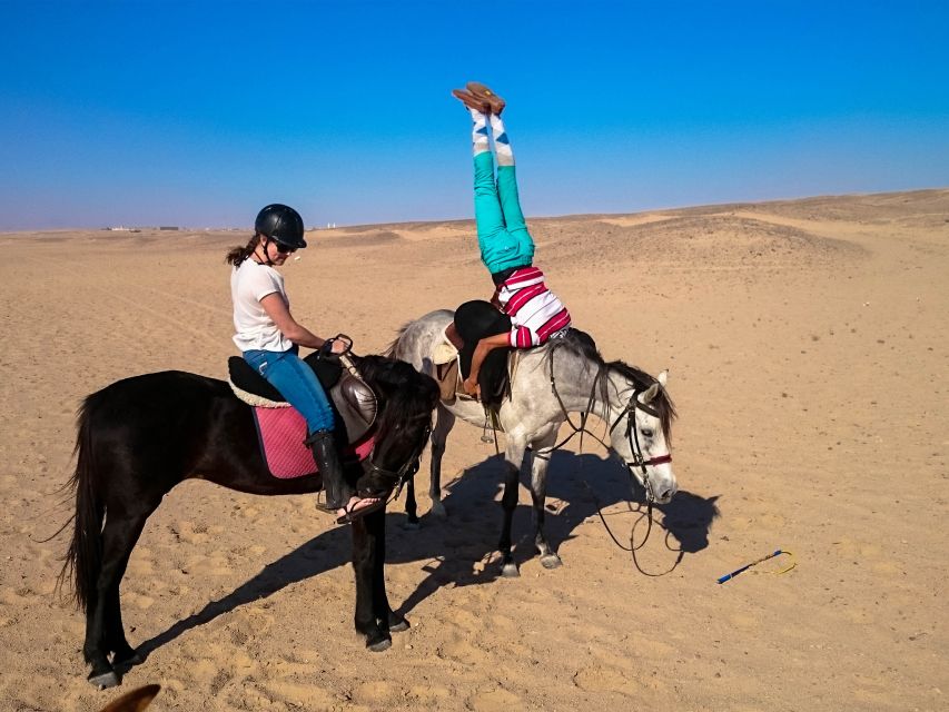 Hurghada: Sunset Sea, Desert Horse W Opt, Dinner, Stargazing - Customer Reviews