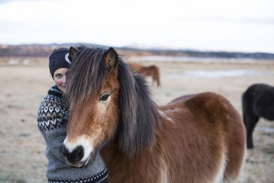 Hveragerdi: Countryside Charm Horse Riding Tour - Participant Guidelines