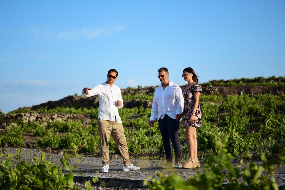 Imerovigli: Premium Wine Tasting With Caldera and Sea Views - Additional Services