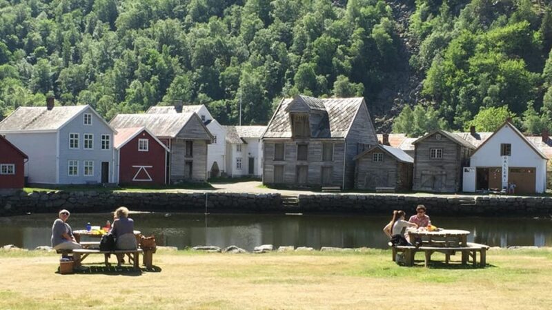 In Lærdal: Guided Old Town Tour - Meet Your Professional Guide