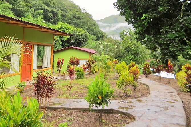 Inca Jungle Trek to Machu Picchu 4 Days - Day 3: Santa Teresa to Aguas Calientes
