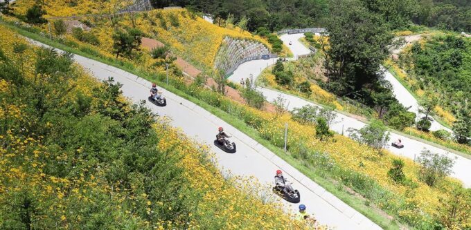 Incheon Private Tour | Luge / Honey Rice Cake / Amoene Cafe - Frequently Asked Questions