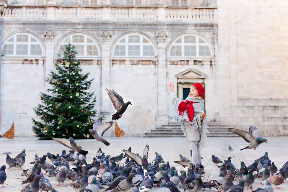 Inspiring Christmas in Dubrovnik - Walking Tour - Historic Ambiance