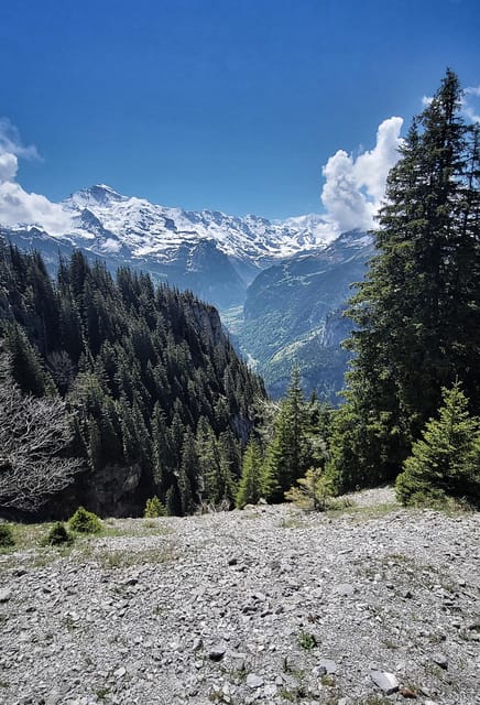 Interlaken: 2 Days Hiking Trip & Mountain Hut - Participant Requirements