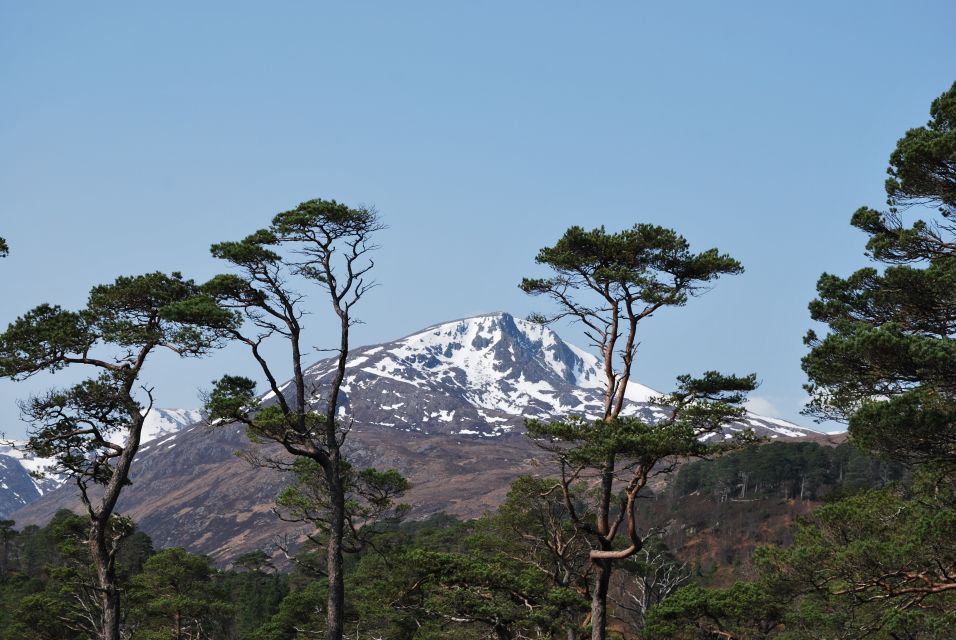 Inverness: Alternative Loch Ness Tour - Scenic Drive Along Loch Ness