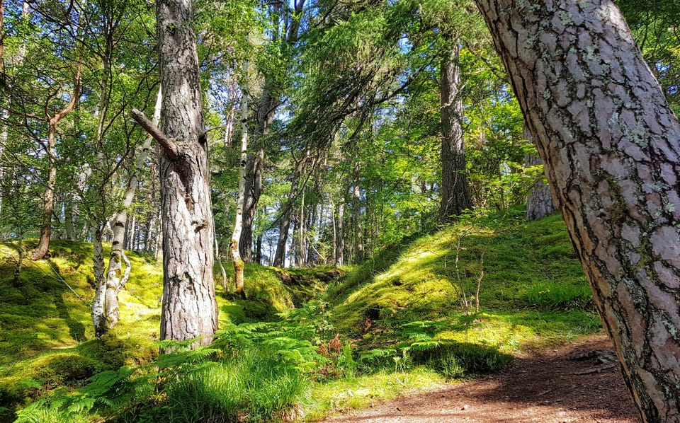 Inverness: Private Secret Hike to the Shores of Loch Ness - Customer Reviews