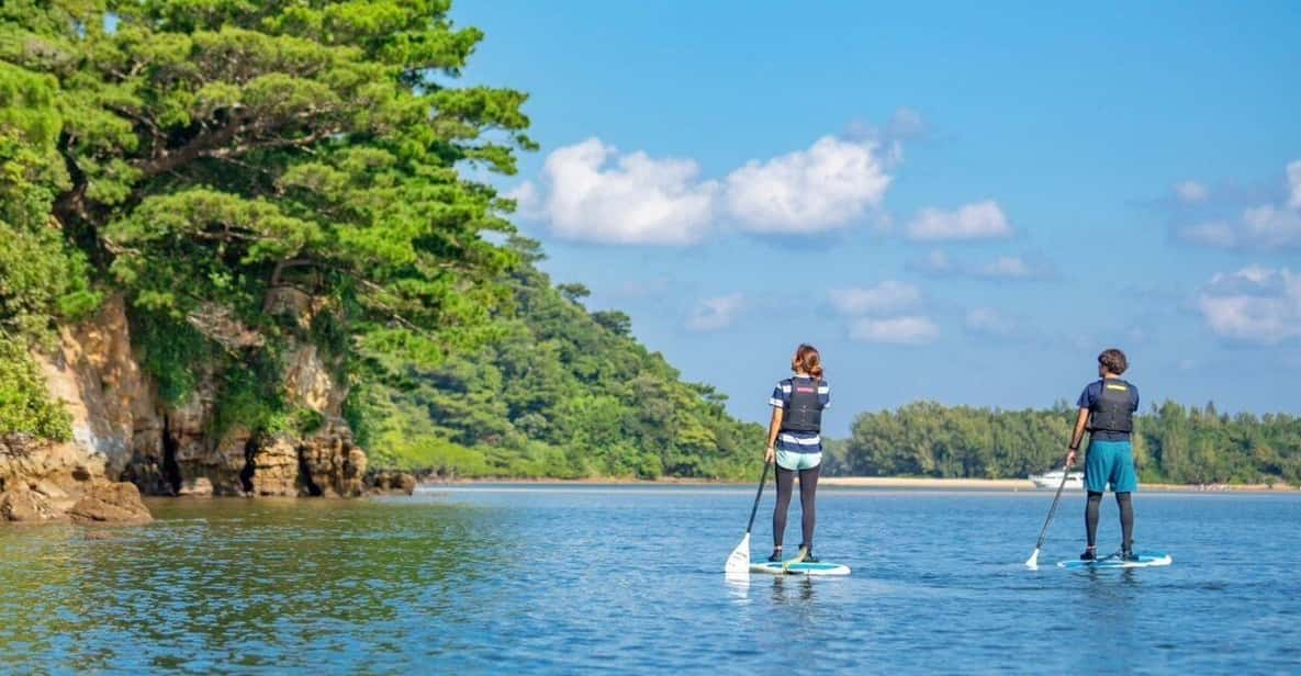 Iriomote Island: Mangrove River SUP Cruising Tour - Safety and Age Restrictions