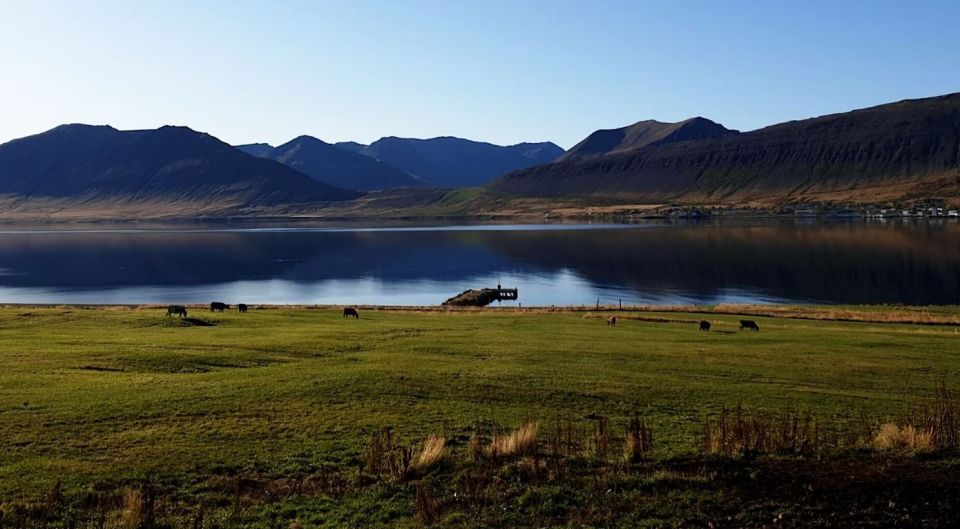 Isafjordur: Dynjandi Waterfall Tour and Icelandic Farm Visit - Scenic Drives and Views