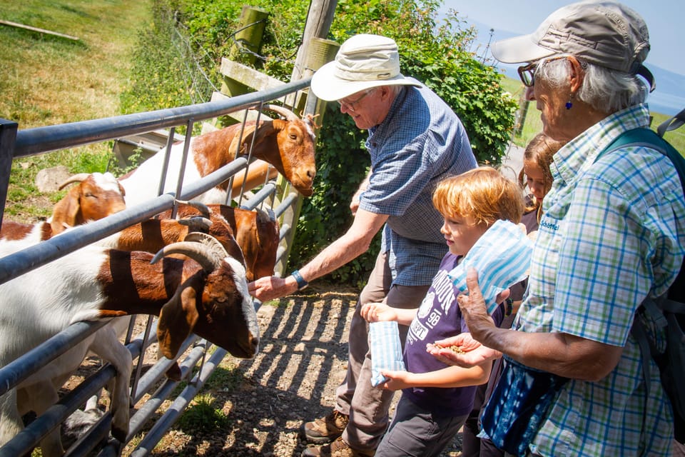 Isle of Arran: Exclusive Private Farm Tour With the Farmer - Customer Feedback