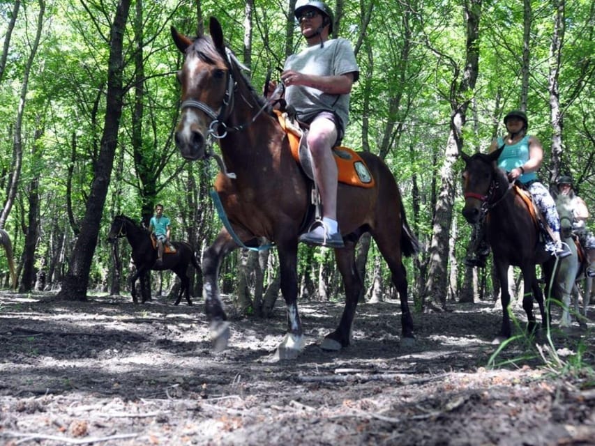 Istanbul: 1 Hours Horse Riding With Trained Horses - Pricing and Availability