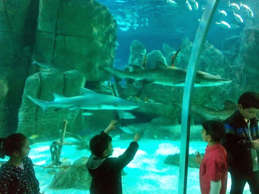 Istanbul Aquarium and Aqua Florya Shopping Mall Tour - Aqua Florya Shopping Mall