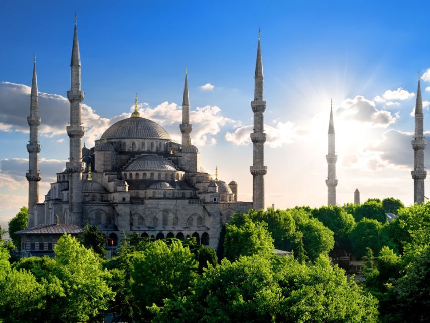 Istanbul: Blue Mosque Guided Tour - Accessibility Features