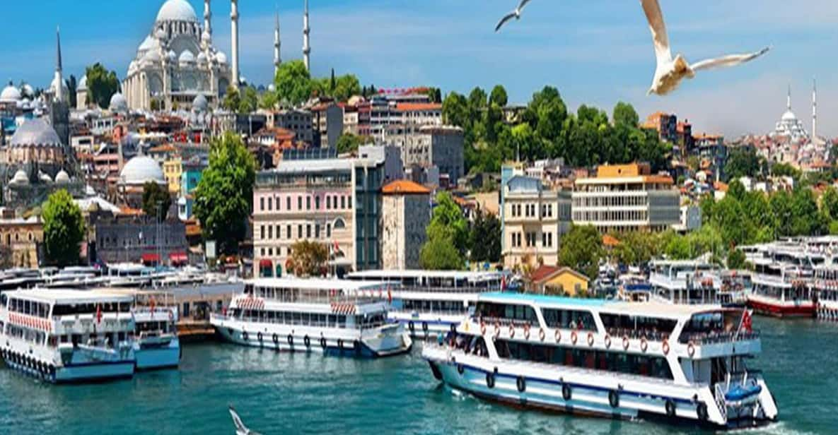 Istanbul Bosphorus Morning Cruise Guided Tour - Customer Feedback and Reviews