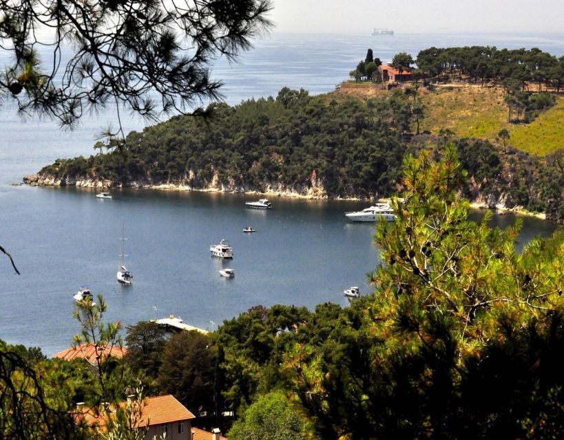 Istanbul: Princes Islands Tour With Lunch and Transfers - Customer Reviews