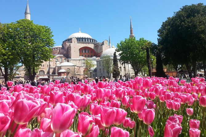 Istanbul Private Tours: 1, 2 or 3 Day Highlights - Important Information