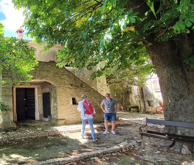 Istria: Guided Tour of Inner Istria With Food Tasting - Customer Reviews and Feedback