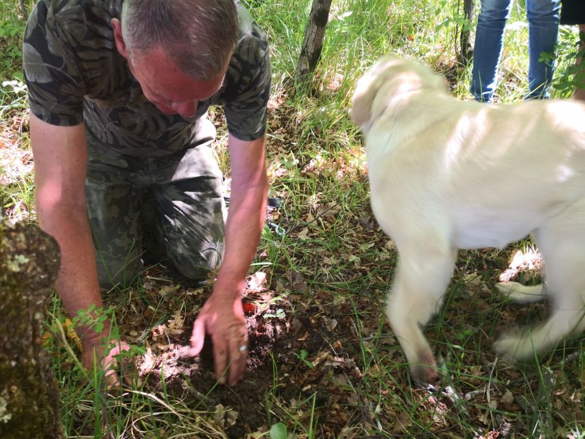 Istria - Truffles: Hunting & Cooking & Tasting, Slovenia - Important Participant Information