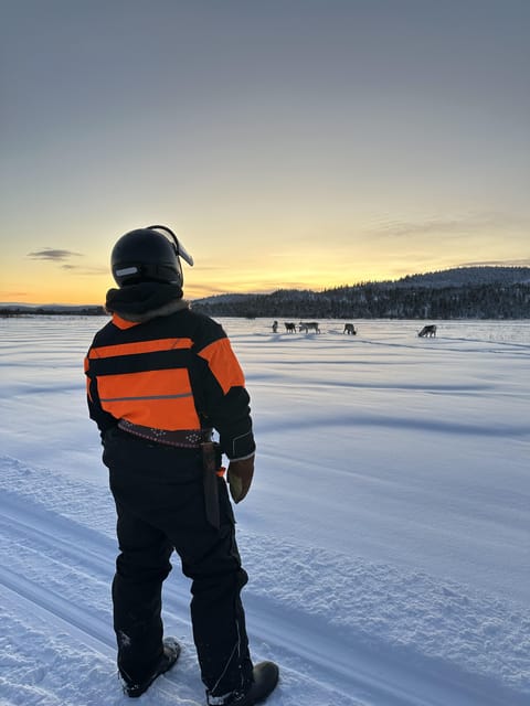 Ivalo: Snowmobile Safari, Meet&Feed Reindeers, Inc Lunch - Frequently Asked Questions