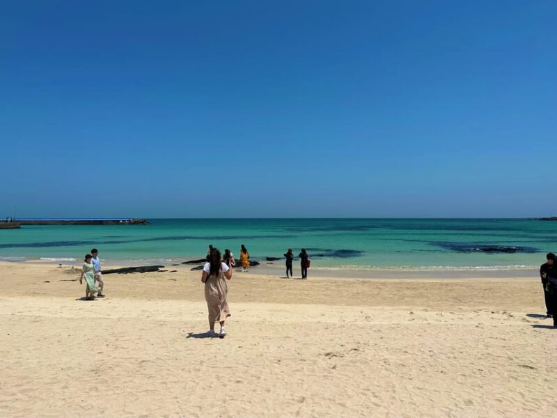 Jeju East: Healing UNESCO Small Group Day Tour - Customer Feedback
