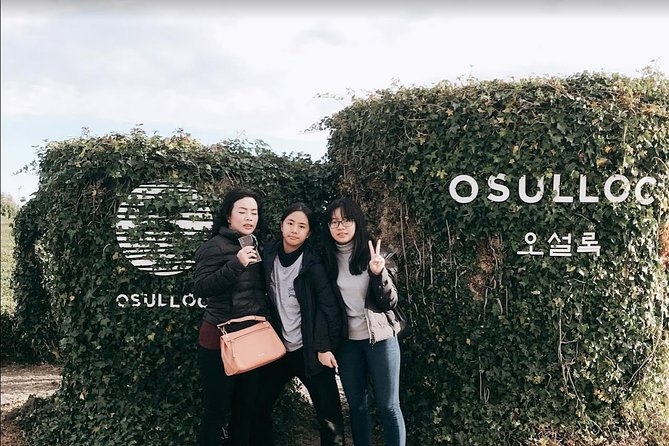 Jeju Island Taxi Tour - West Day Tour - Booking and Cancellation Policies