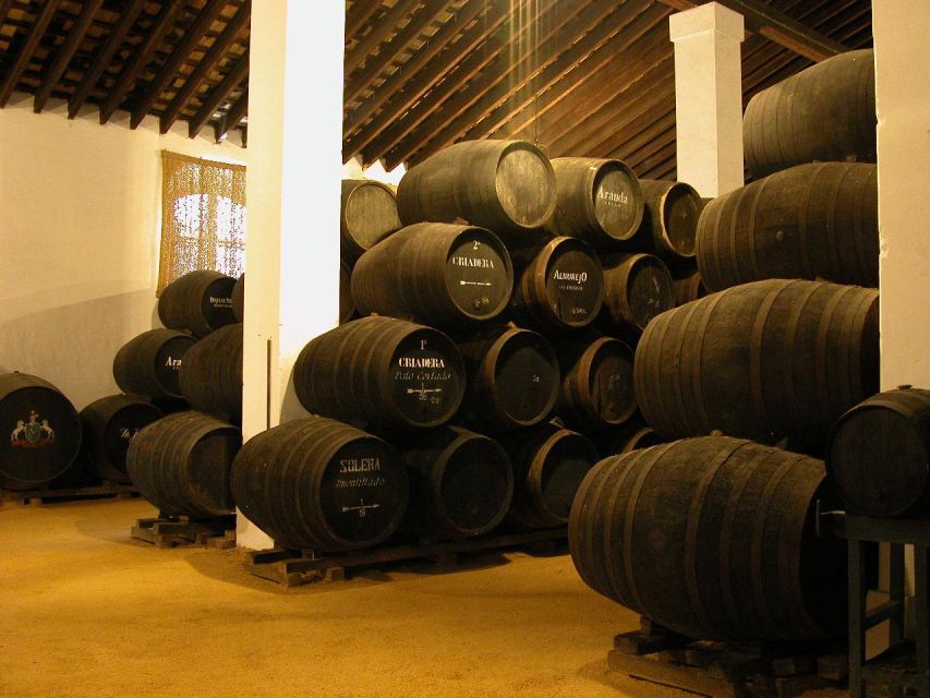 Jerez: Álvaro Domecq Wineries Guided Tour With Wine Tasting - Winemaking Process and History