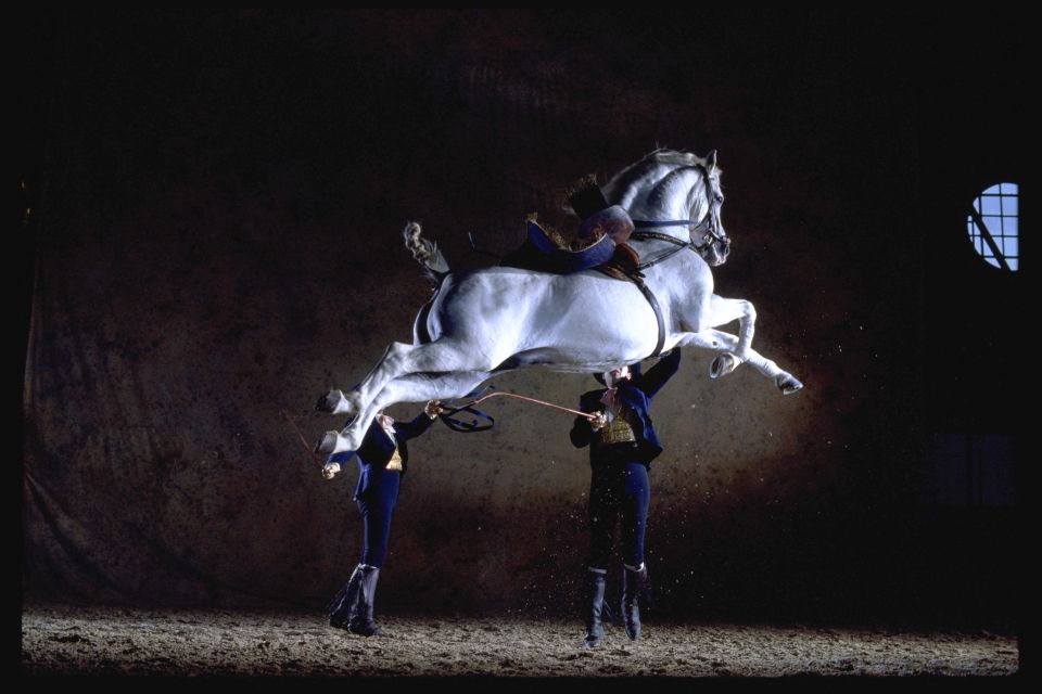 Jerez De La Frontera: How the Andalusian Horses Dance - Outdoor Arena Capacity