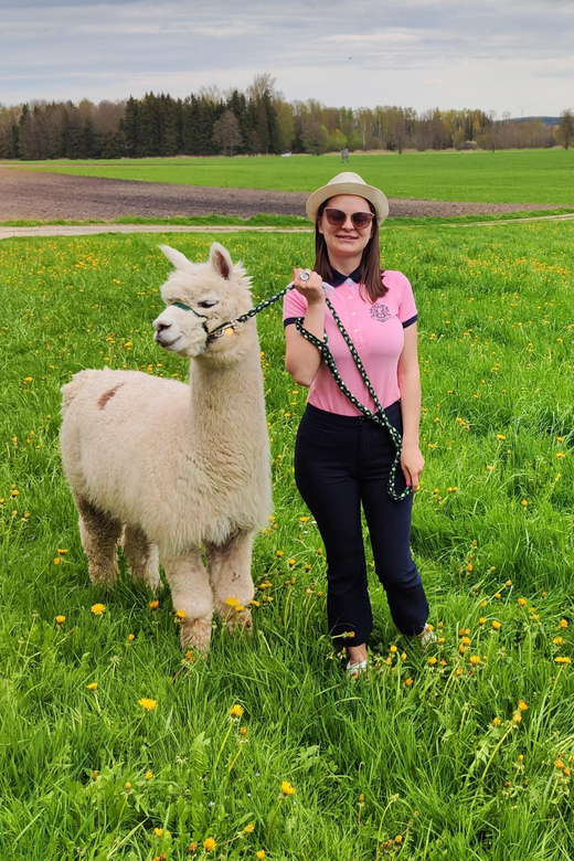 Jettingen-Scheppach: Alpaca Hike With Coffee and Cake - What to Bring