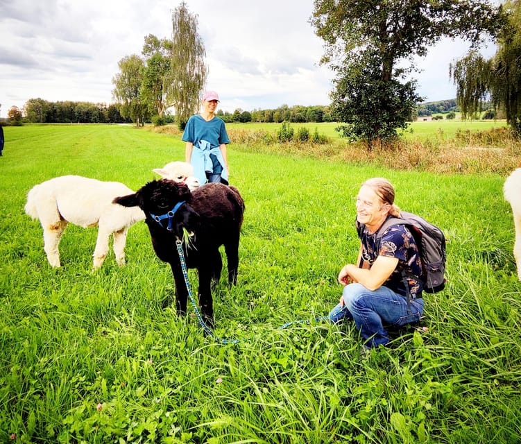 Jettingen-Scheppach: Exclusive Alpaca Couple Hike - Hiking Through Forests and Fields