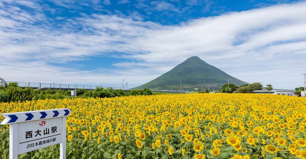 Kagoshima: Ibusuki City and Mount Kaimon Dake Tour - Preparation and Recommendations