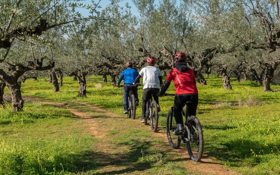 Kalamata: Olive Grove E-Mountain Bike Tour With Picnic Lunch - Preparation and Recommendations