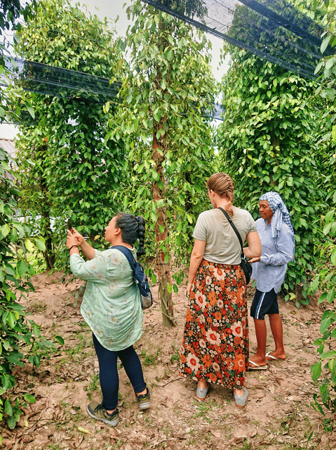 Kampot Countryside Tours - Booking Information and Payment