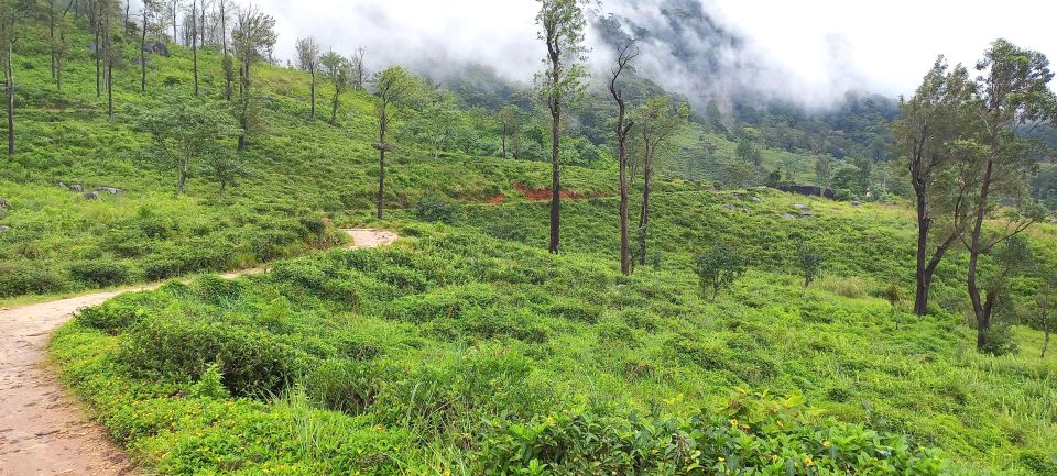 Kandy to Nuwaraeliya 3D Trekking Pekoe Trails Stage 1-2-&-3 - Additional Details