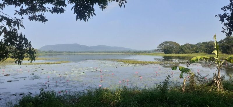 Kandy to Sigiriya Day Tour - Important Details