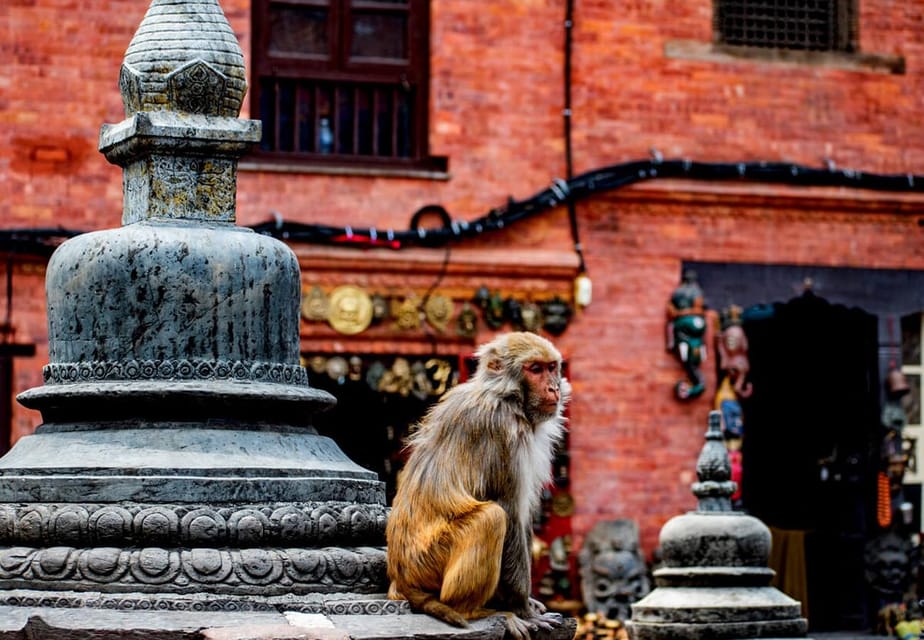 Kathmandu Guided Day Tour - Adventure Options