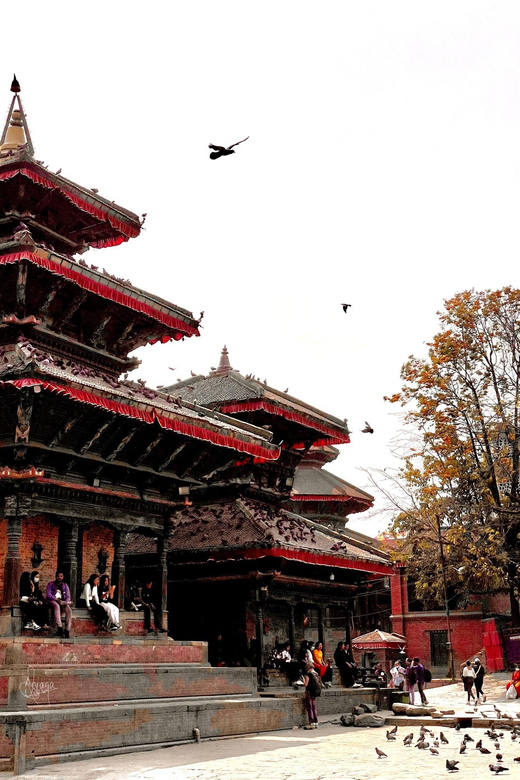 Kathmandu: Private 7 UNESCO Heritage Sites Day Tour - Patan Durbar Square