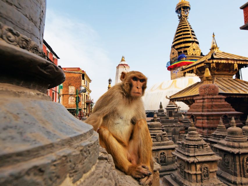 Kathmandu UNESCO World Heritage Sites Private Tour - Boudhanath Stupa