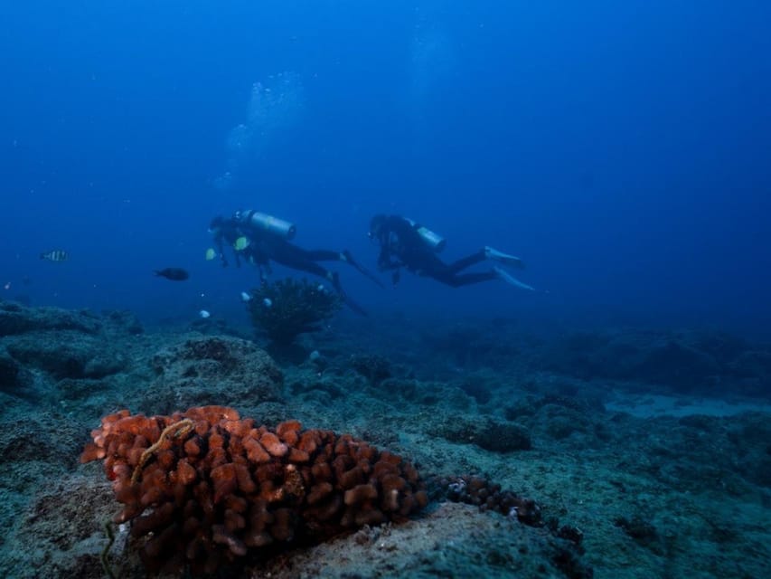 Kauai: 3-Tank Boat Dive for Certified Divers - Safety Measures and Guidelines