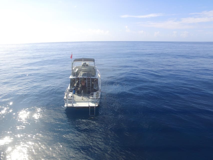 Kauai: Morning 2 Tank Boat Dive for Experienced Divers - Safety and Regulations