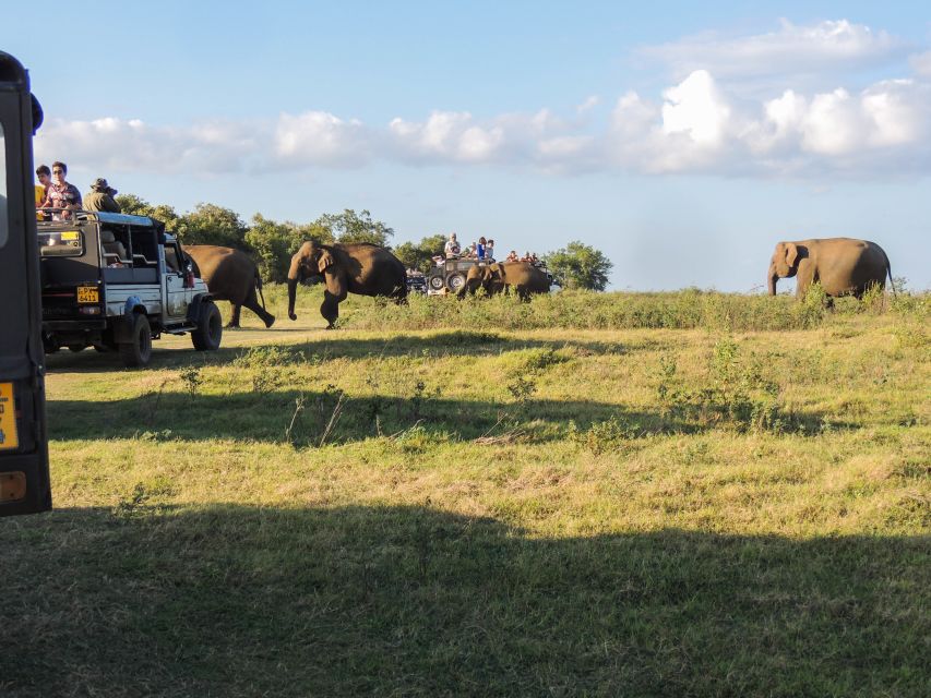 Kaudulla National Park: Private Safari - What to Bring