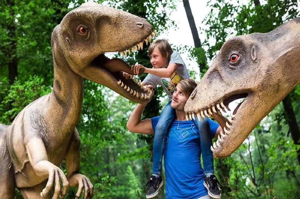 Kemer Dino Park Tour - Visitor Guidelines