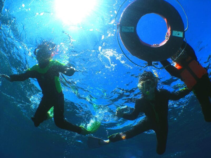 Kerama Islands National Park Experience Diving + Snorkeling - Customer Ratings