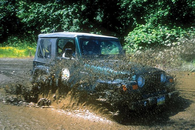 Ketchikan Jeep and Canoe Safari - Food and Refreshments