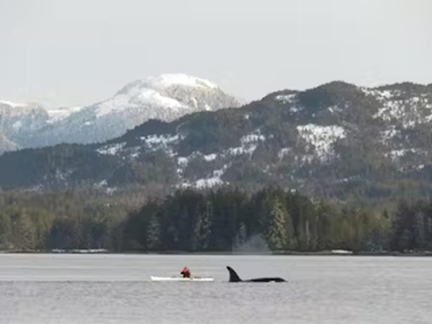 Ketchikan: Kayak Eco-Tour - Included Amenities