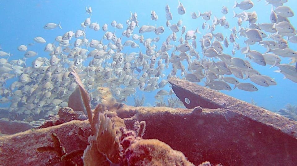 Key Largo: Spiegel Grove Wreck Deep Dive - Diverse Marine Life Encounters