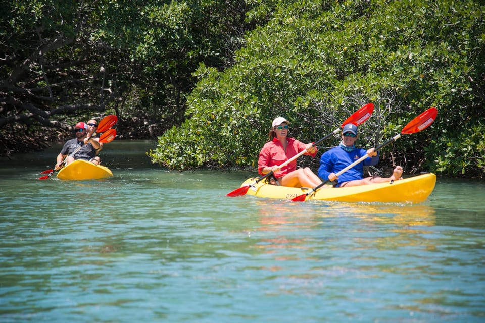 Key West: All Day Eco Tour - Kayak, Snorkel and Sail! - Essential Information