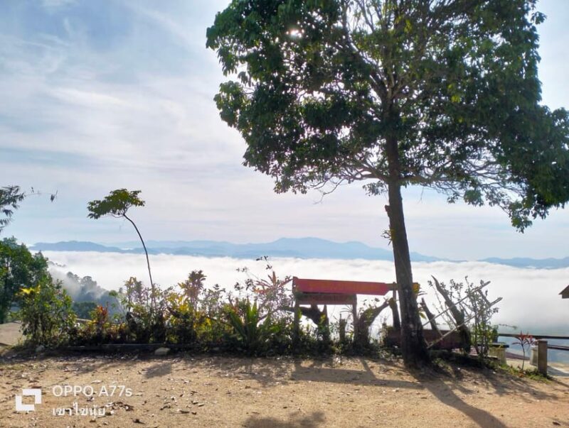 Khao Lak: Sea of Fog on Hill & Sunrise at Khao Khai Nui - Important Information